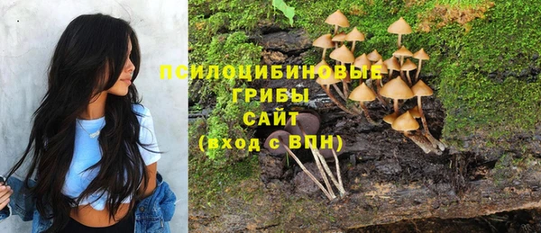 прущие крисы Снежинск