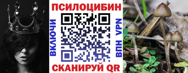 Псилоцибиновые грибы мухоморы  Юхнов 